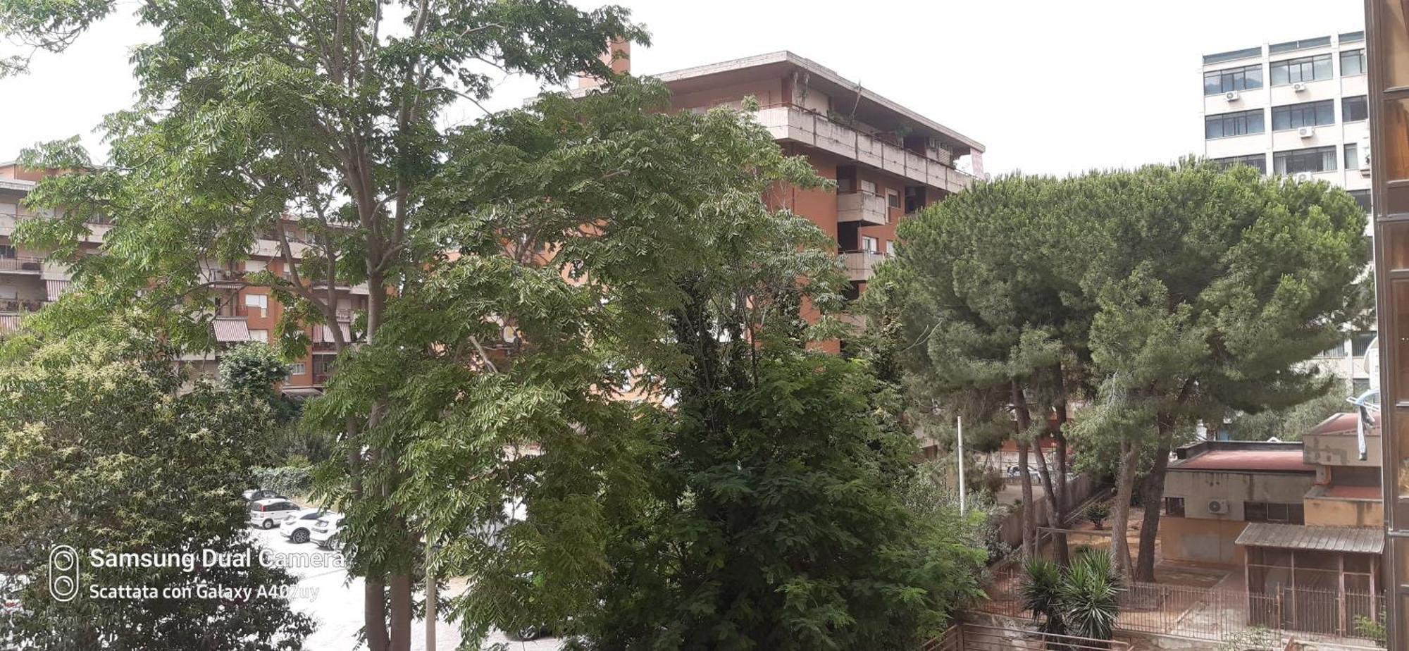 Frael Lägenhet Palermo Exteriör bild